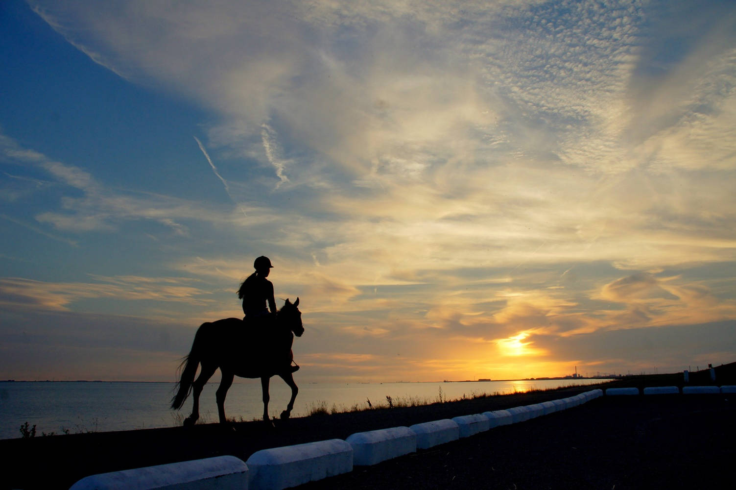 Horse Riding Woman Silhouette Sunset Beach Wallpaper