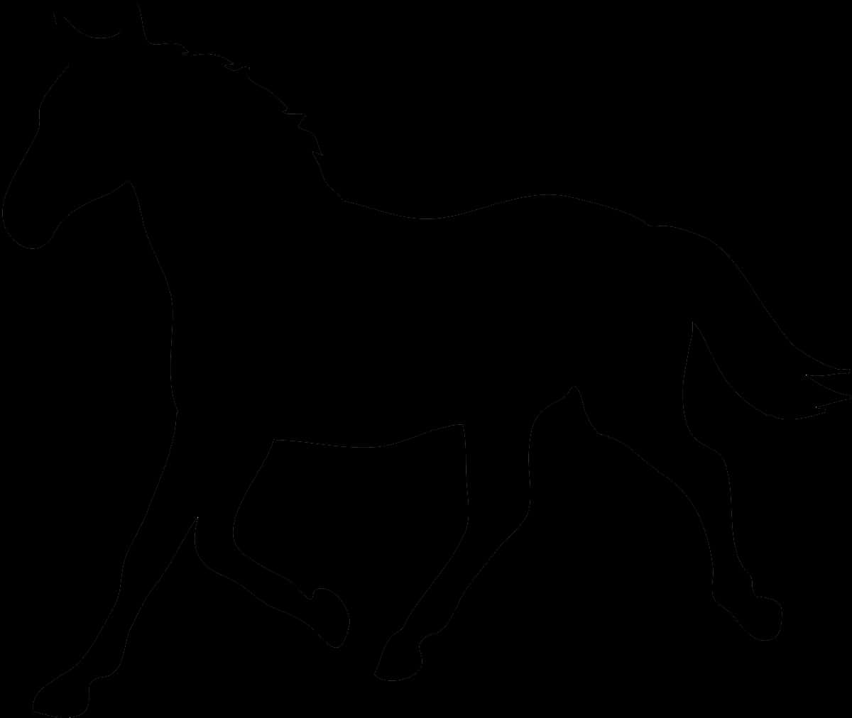 Horse Silhouette Black Background PNG