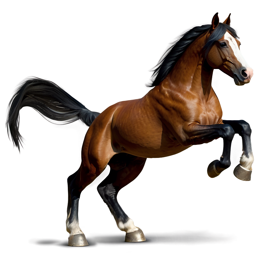 Horse Sketch Png 05032024 PNG
