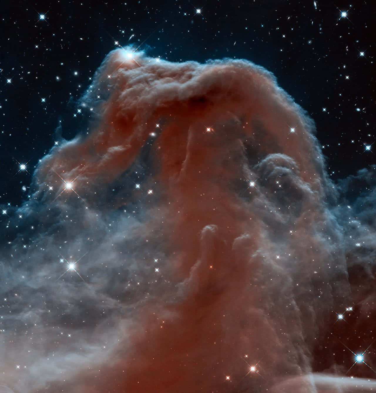 Astonishing View of the Horsehead Nebula Wallpaper
