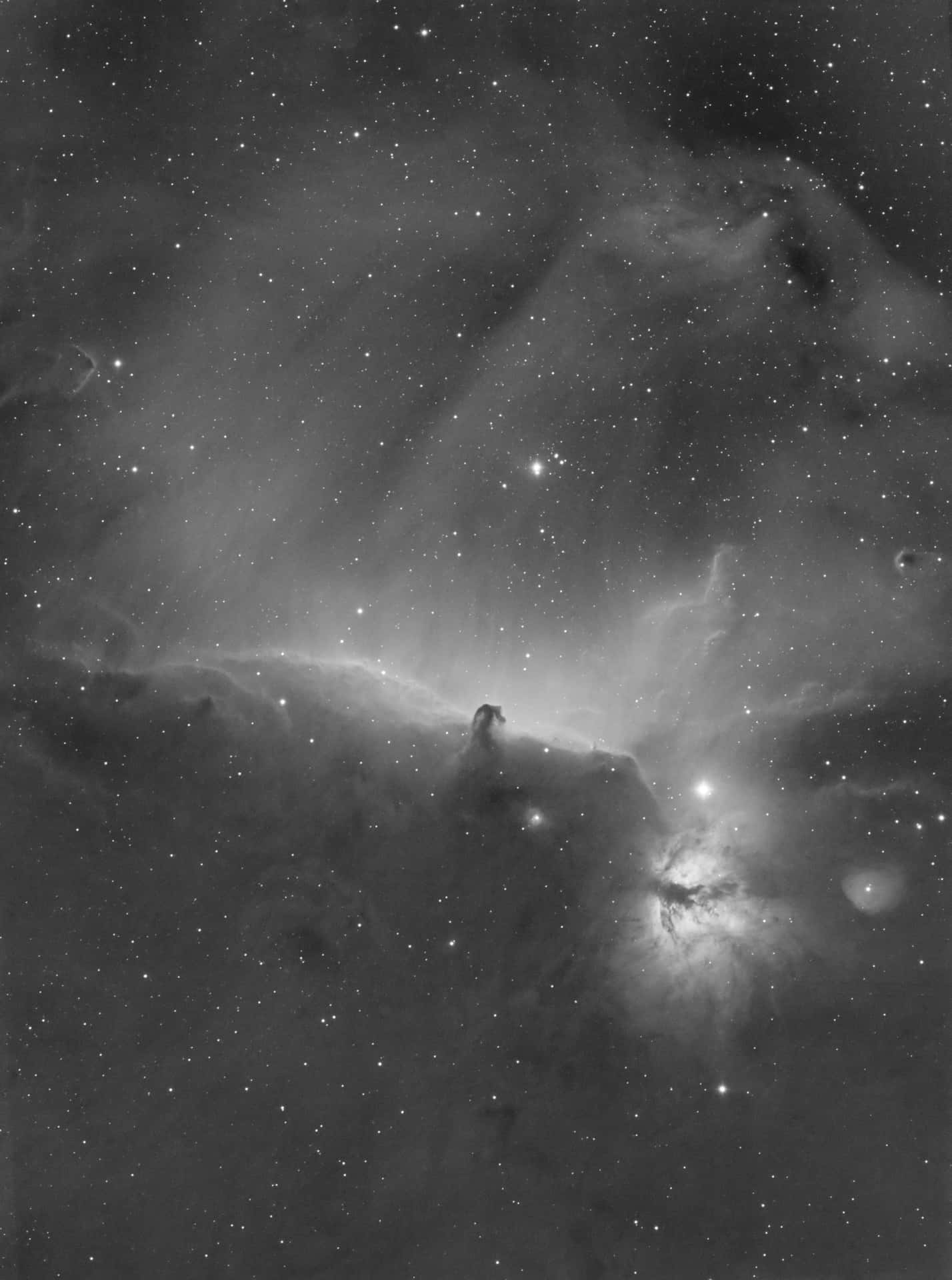 Majestic Horsehead Nebula in the Night Sky Wallpaper