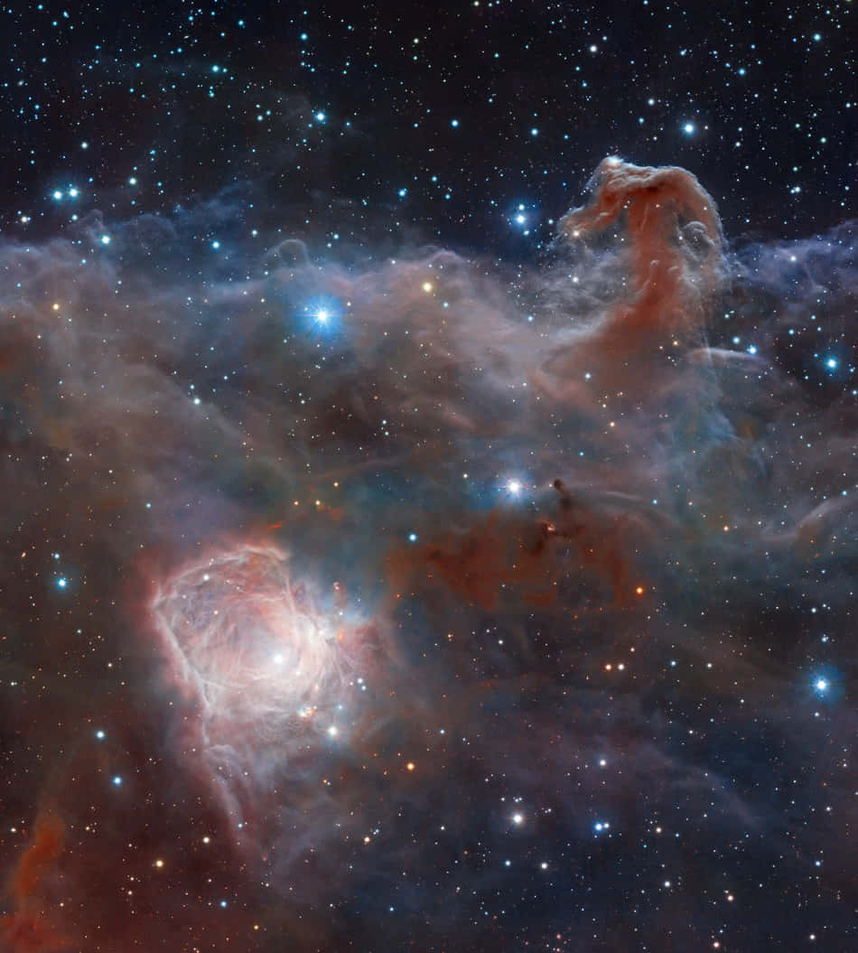 Majestic Horsehead Nebula in the Night Sky Wallpaper