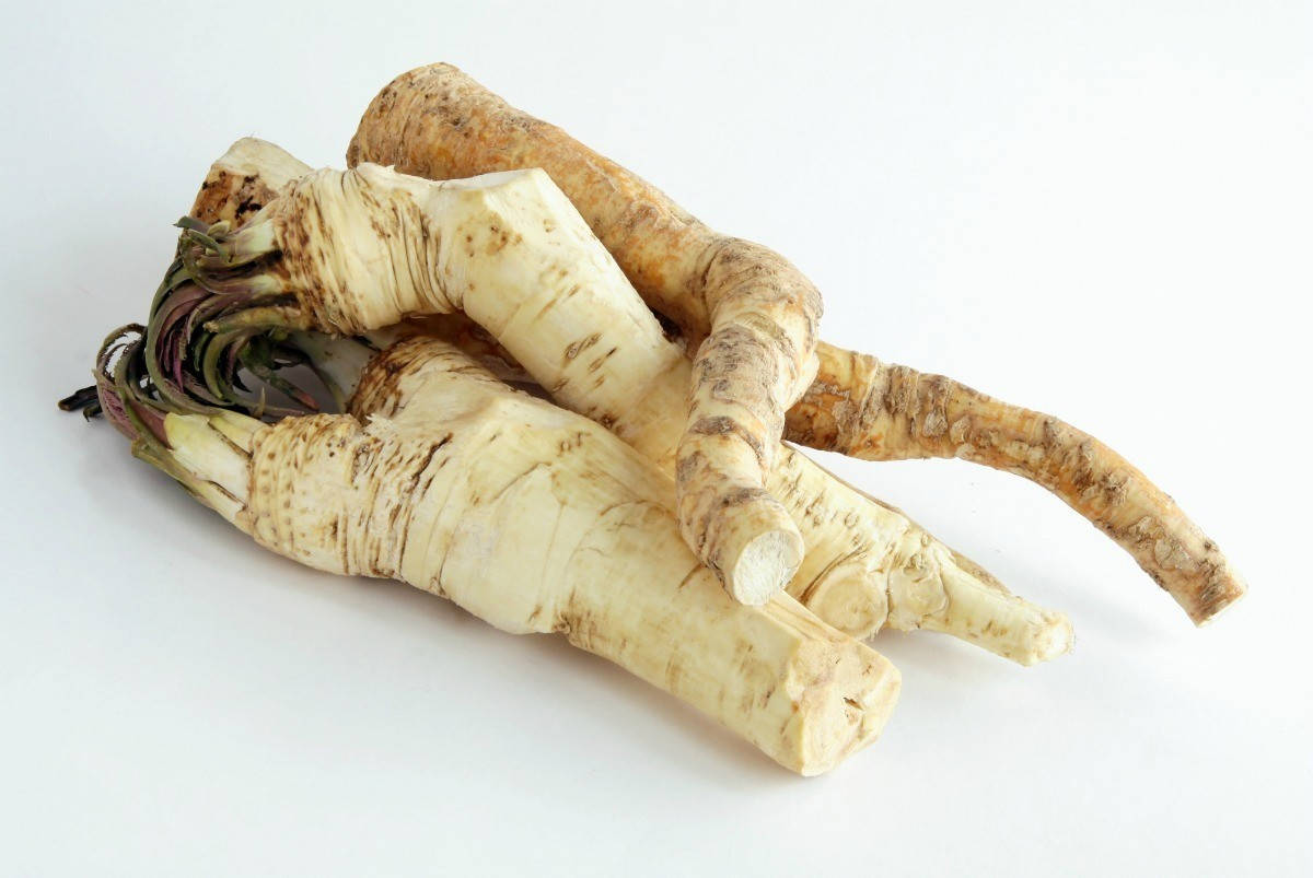 Horseradish Root Plant In Swedish Is 