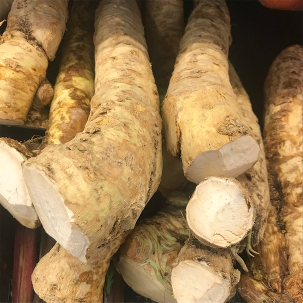 Horseradish Vegetable Pile Wallpaper