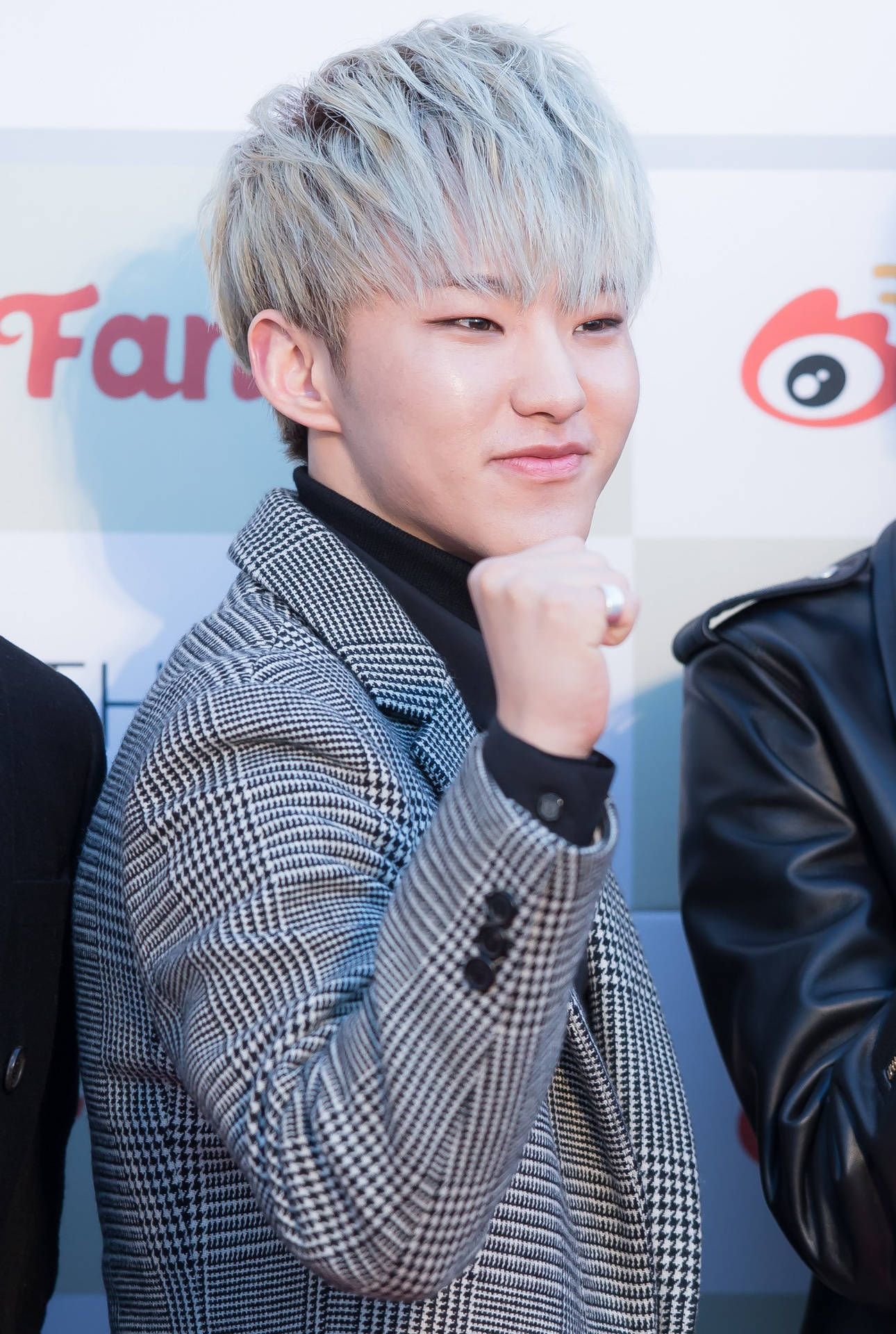 Hoshi With Silver Hair Wallpaper