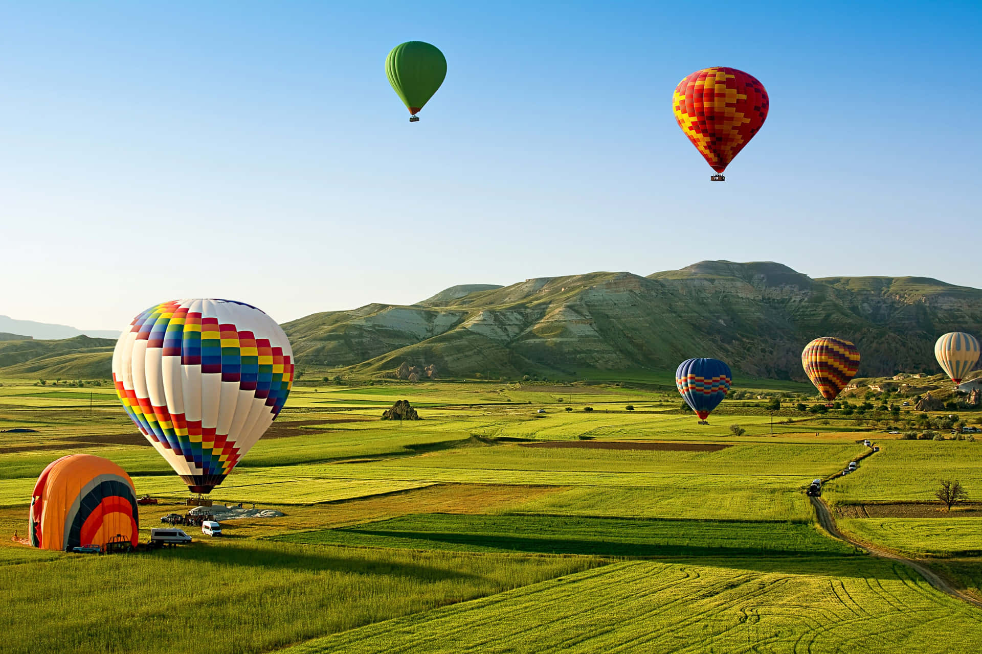 Enjoy a birds-eye view of the countryside with a majestic hot air balloon ride