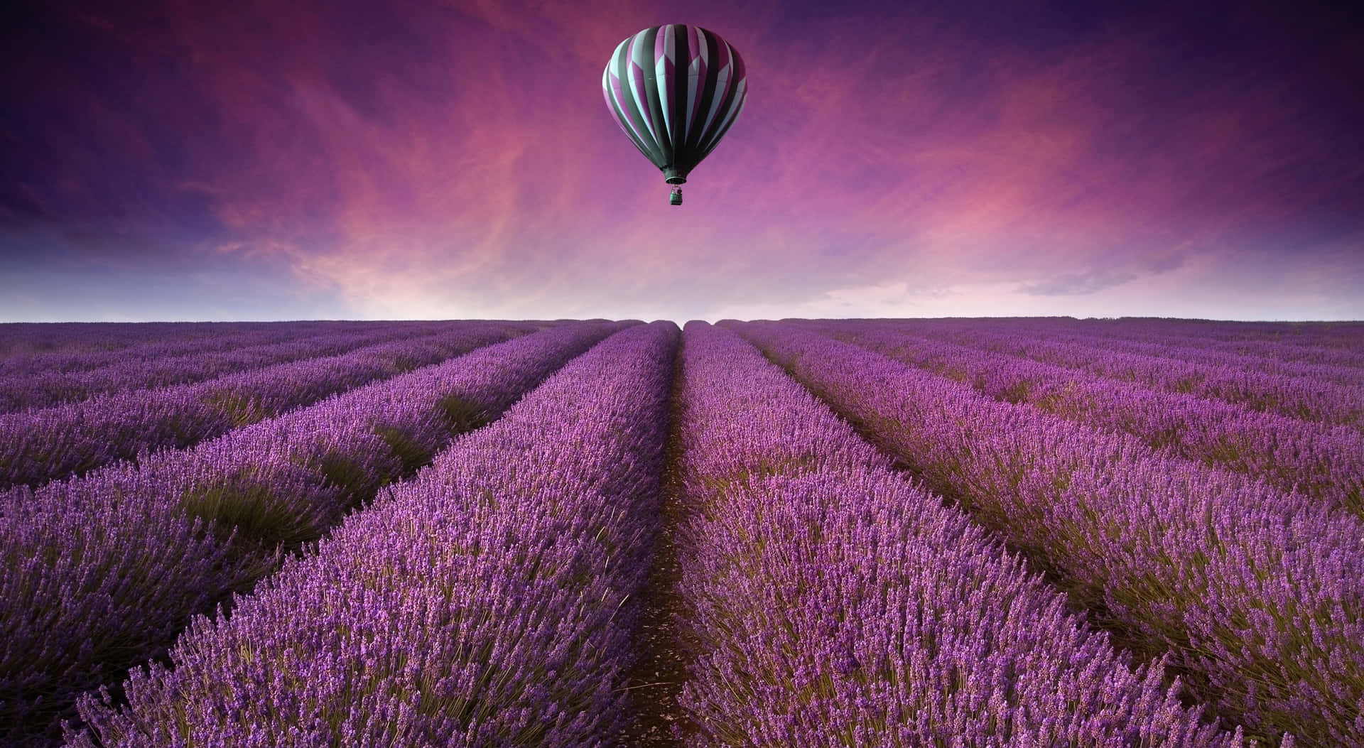 Heißluftballonüber Einem Lila Lavendelfeld. Wallpaper