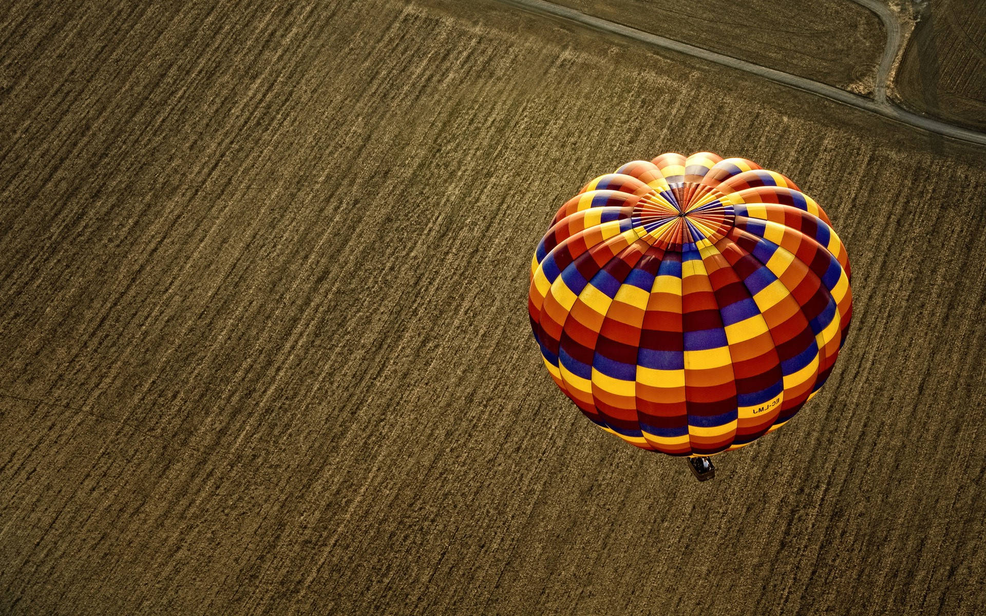 Hot Air Balloon Above Field Top View Wallpaper