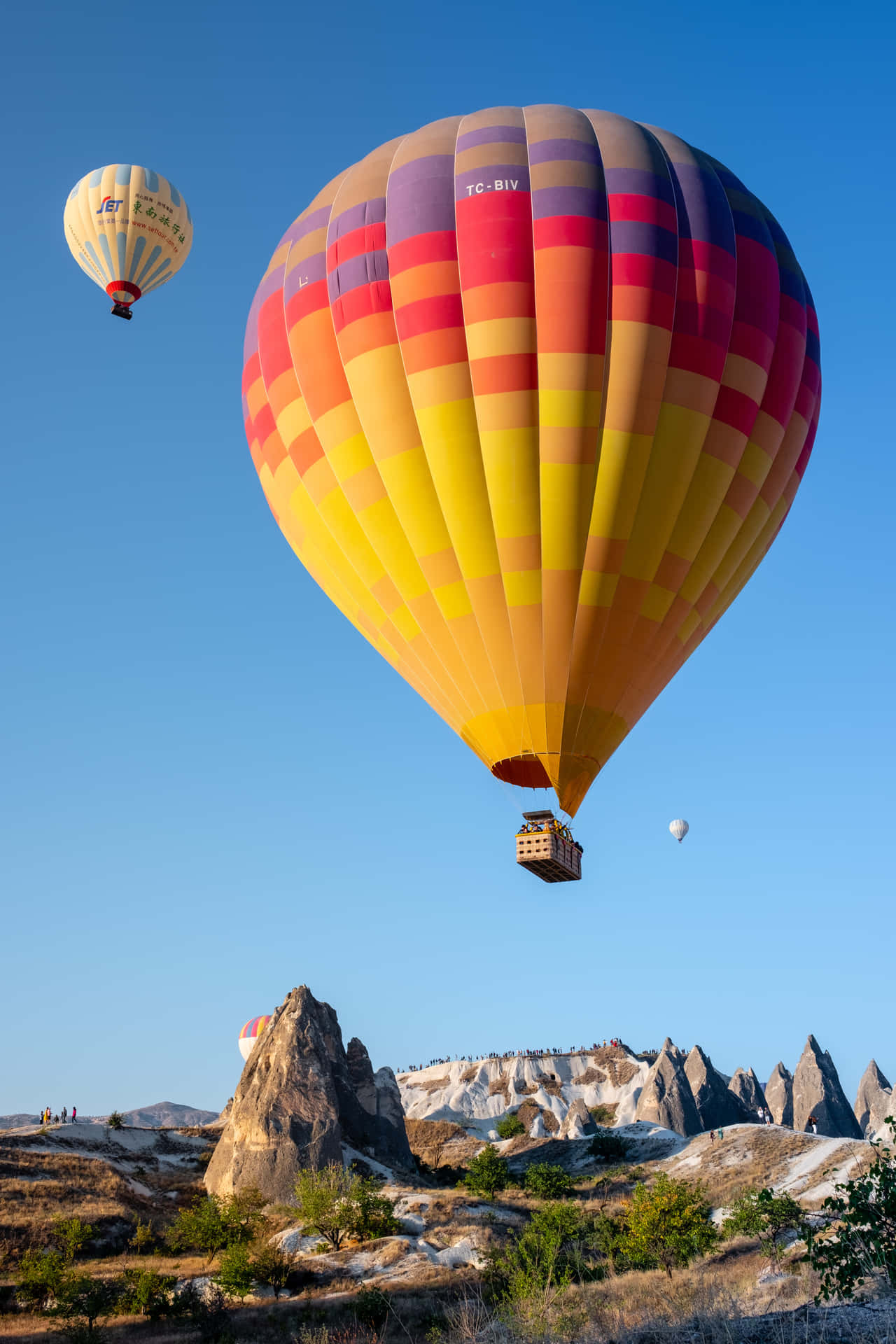 Enjoy the scenic view of hot air balloons in the sky