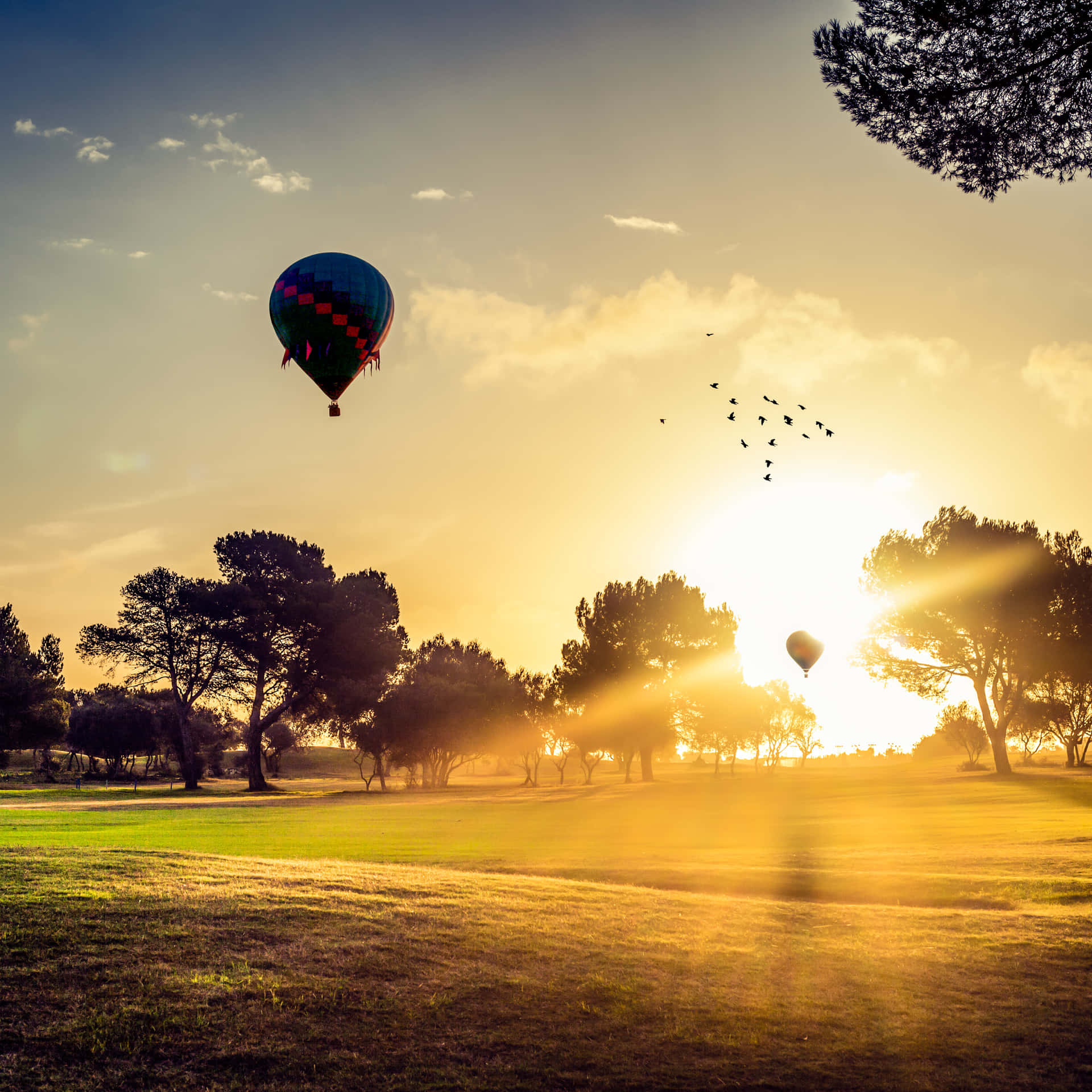 A beautiful hot air balloon drifting through the picturesque landscape