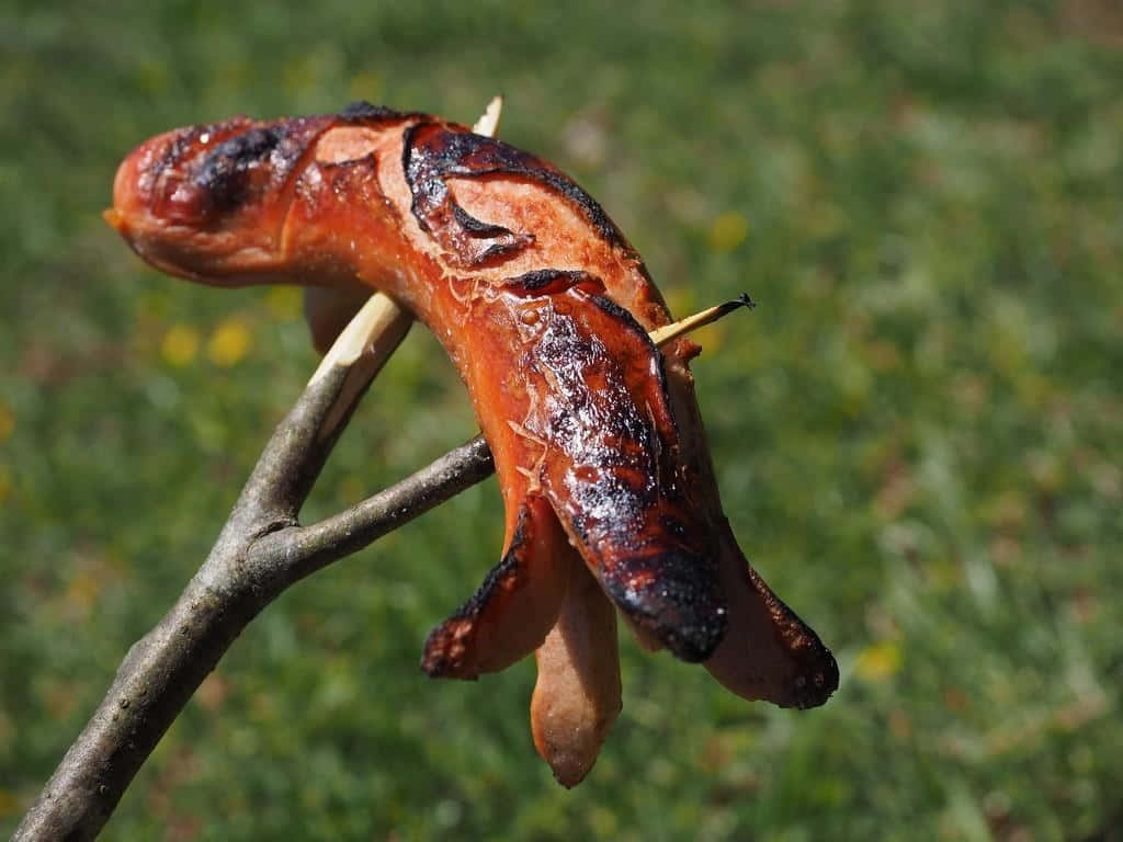 A Hot Dog On A Stick
