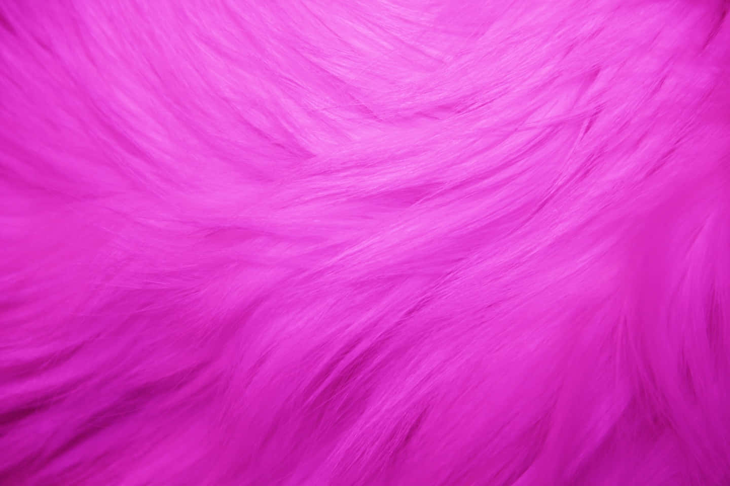 A Close Up Of A Pink Furry Background
