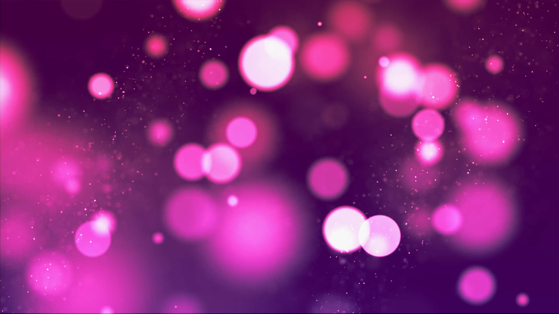 Purple And Pink Bokeh Background