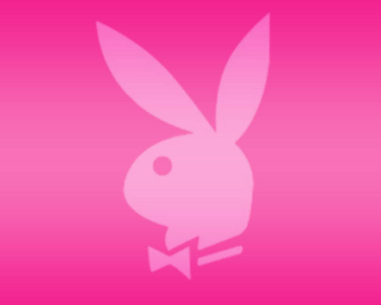 Hot Pink Playboy Logo Bunny Wallpaper