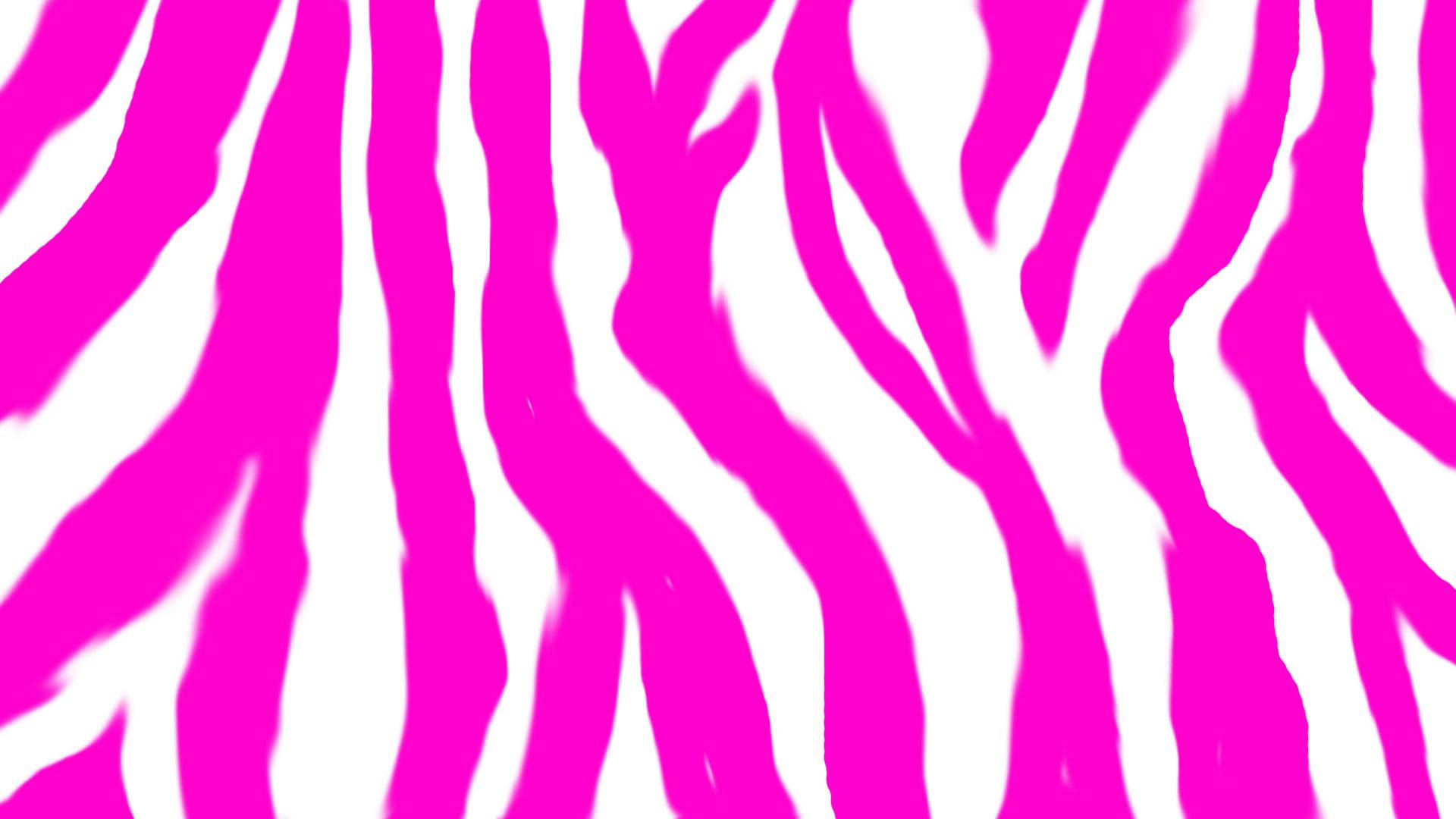 Hot Pink White And Zebra Print Wallpaper