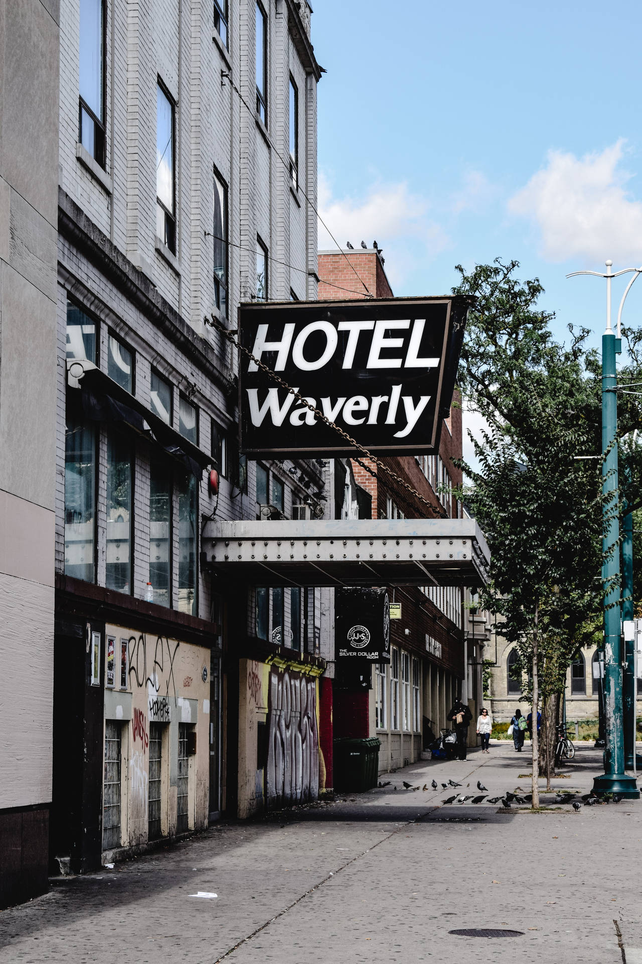 Hotel Waverly Signatur Grøn Tapet: Et højkvalitets tapet med subtile, vilde skove og livlige farver. Wallpaper