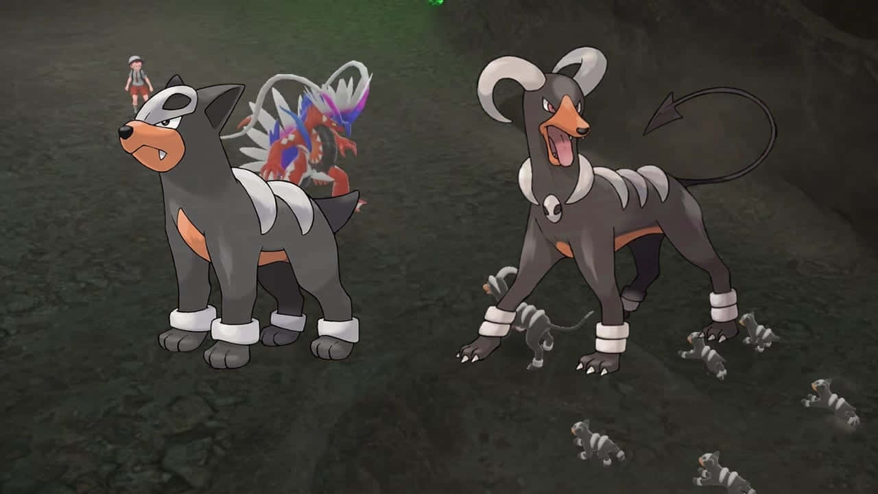 Houndoury Houndour En Pokémon Escarlata. Fondo de pantalla