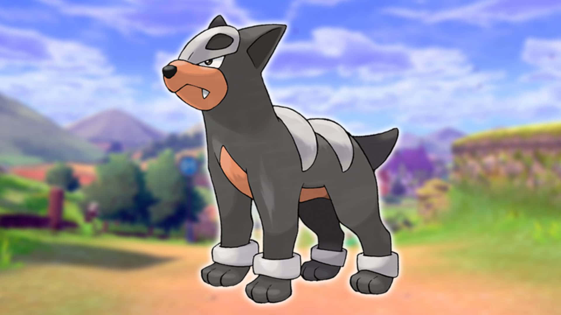 Houndour In Front Of The Fields Wallpaper