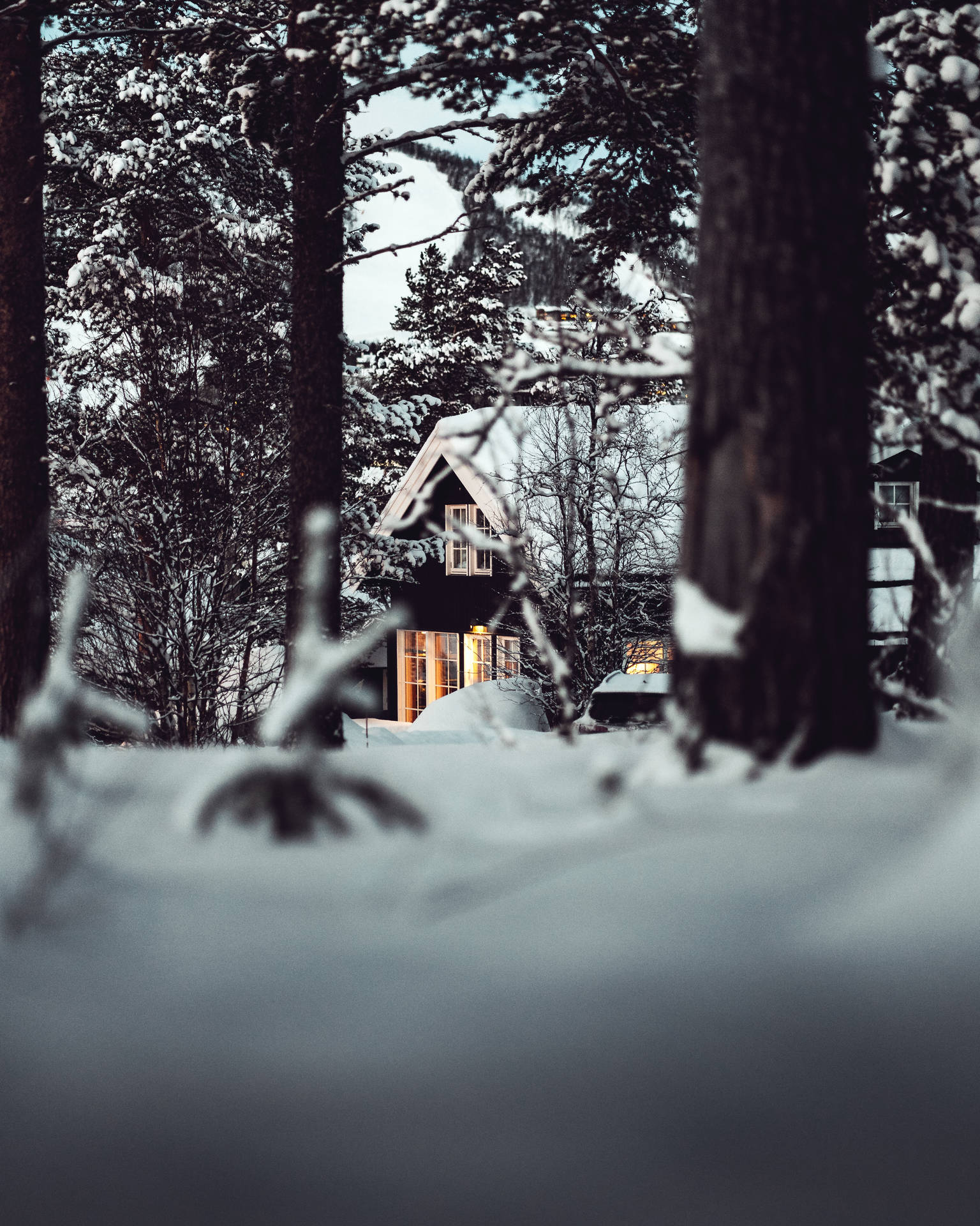 House In Snowy Forest