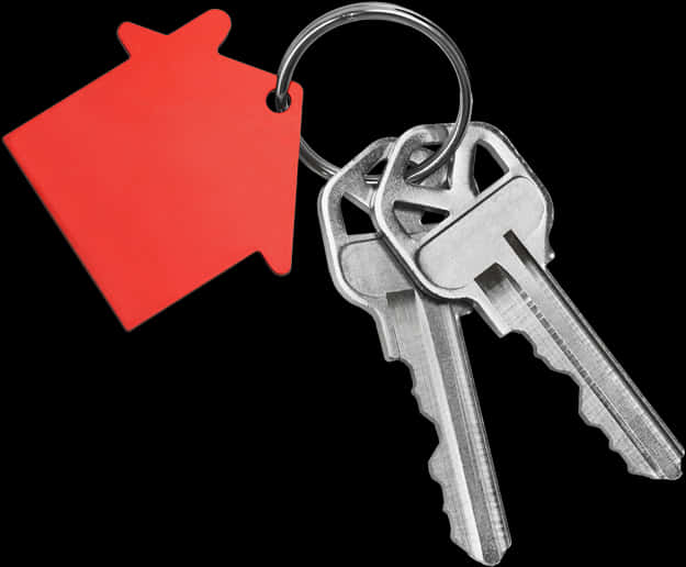 House Shape Keychainand Keys PNG