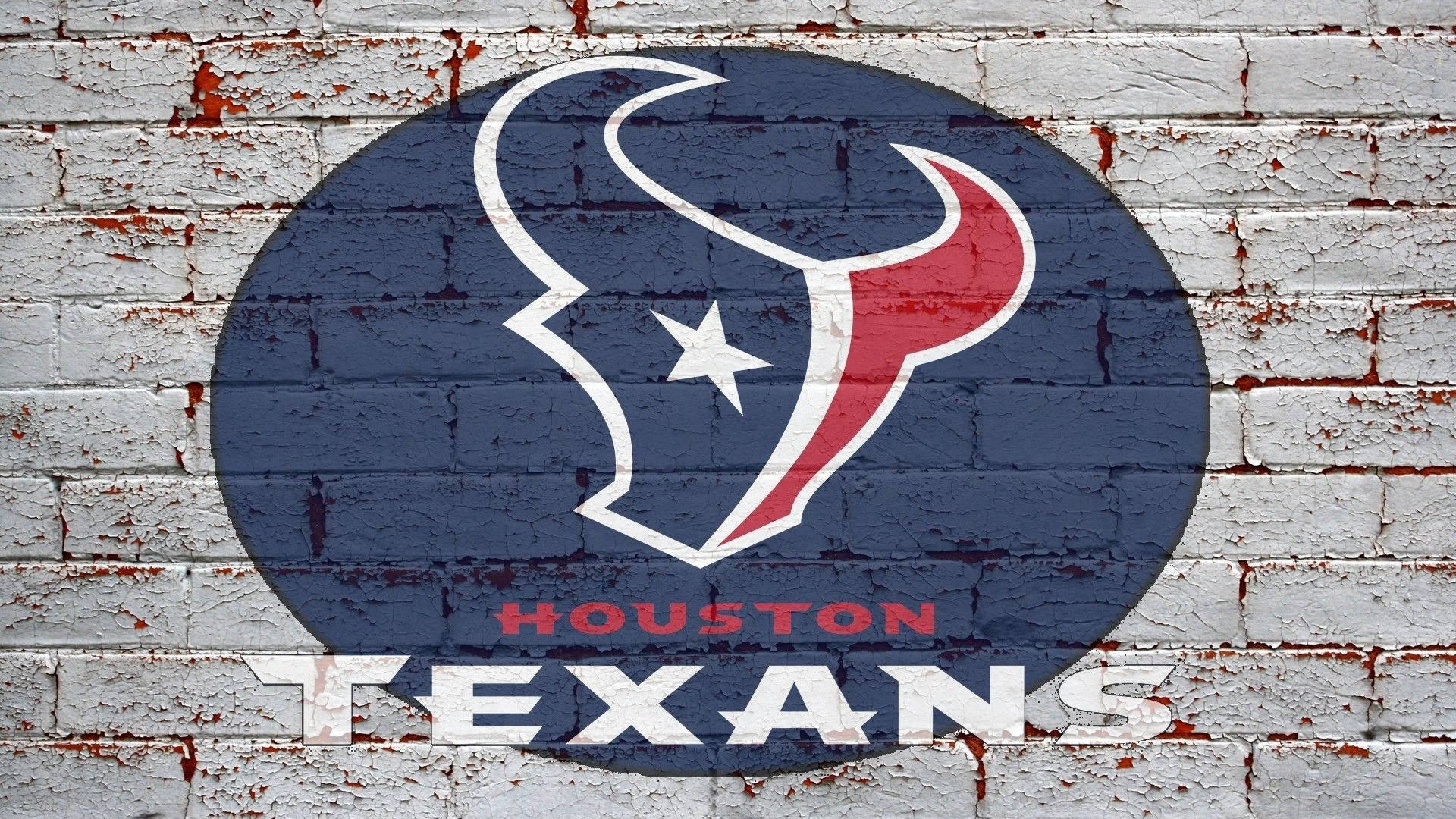 Image  The Houston Texans on the Winning Team Wallpaper