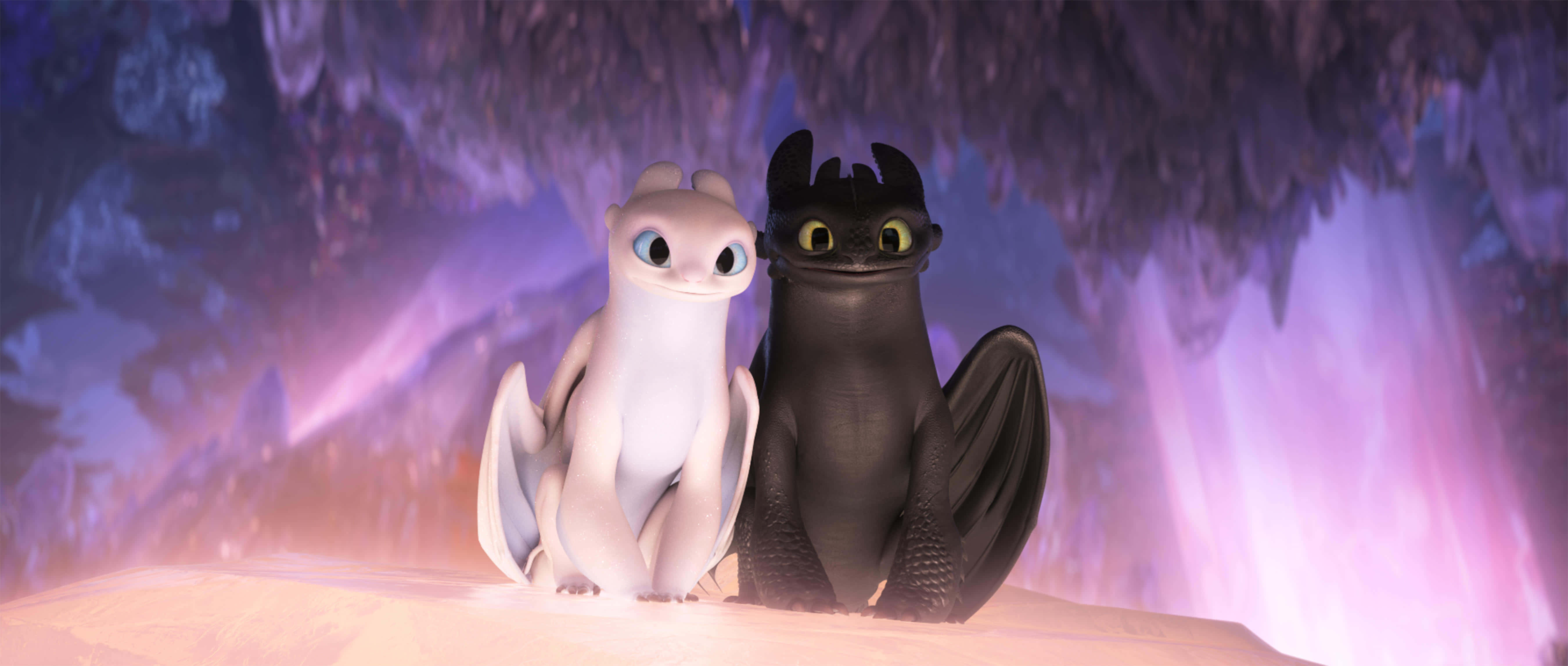 Grab your popcorn and get ready to soar with the heroic dragons from How to Train Your Dragon! Wallpaper