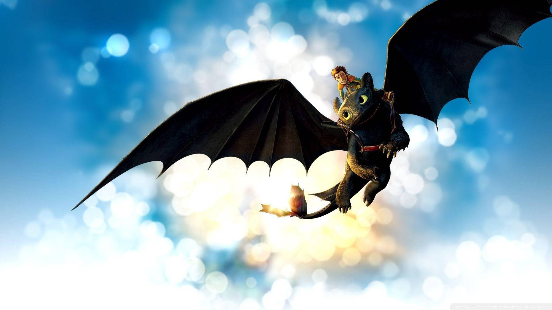 How To Train Your Dragon Fireworks Sky Wallpaper