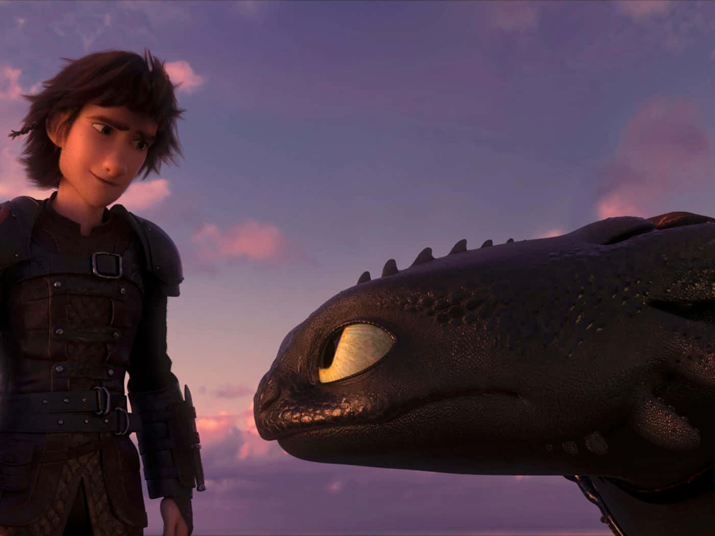 How To Train Your Dragon Toothless Hiccup Picture