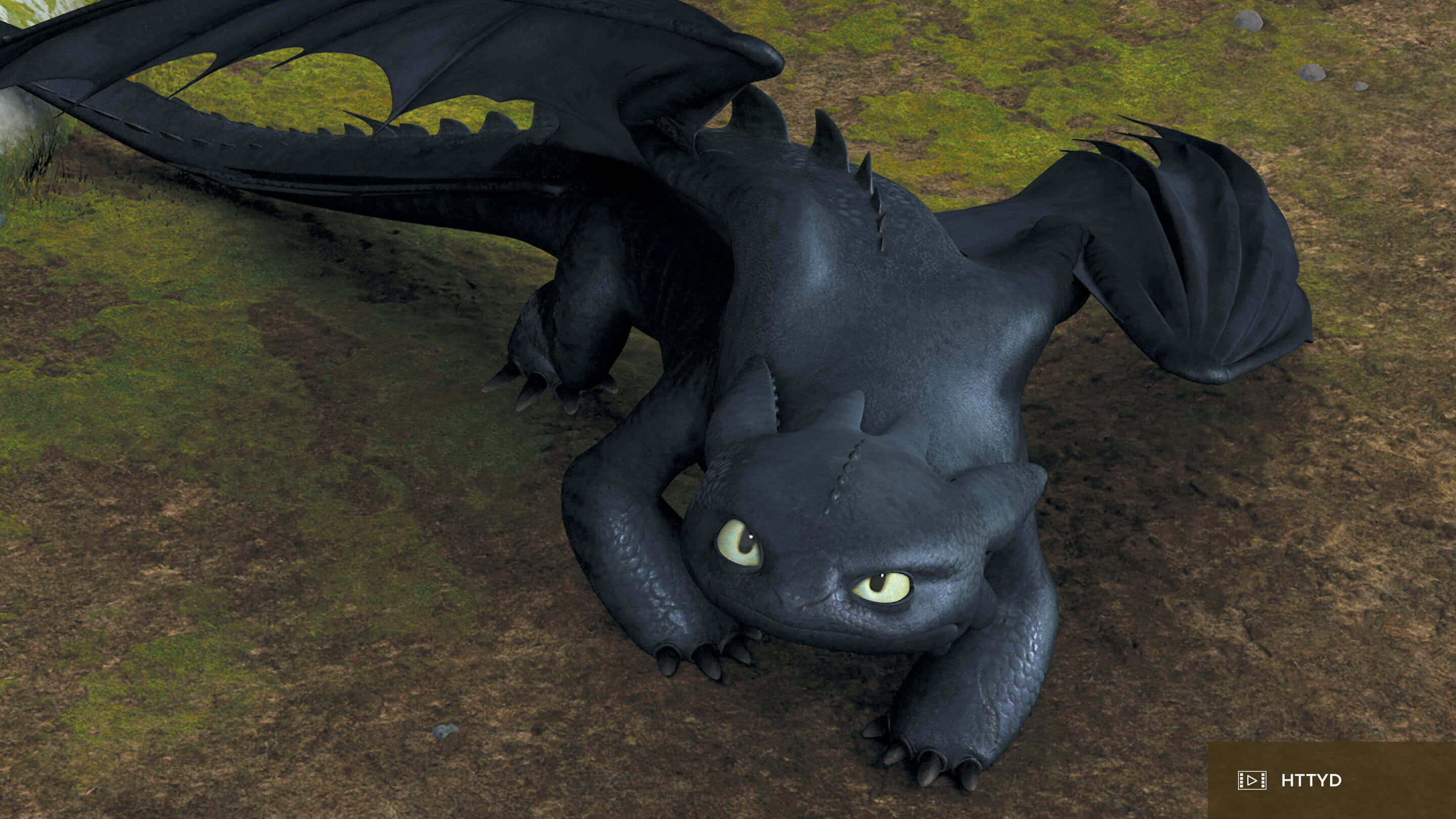 how to train your dragon stormfly and toothless