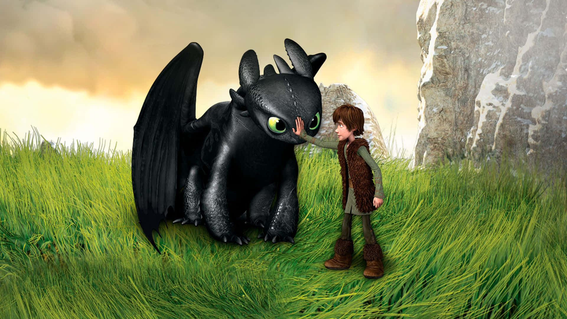 How To Train Your Dragon Young Dark Clouds Picture