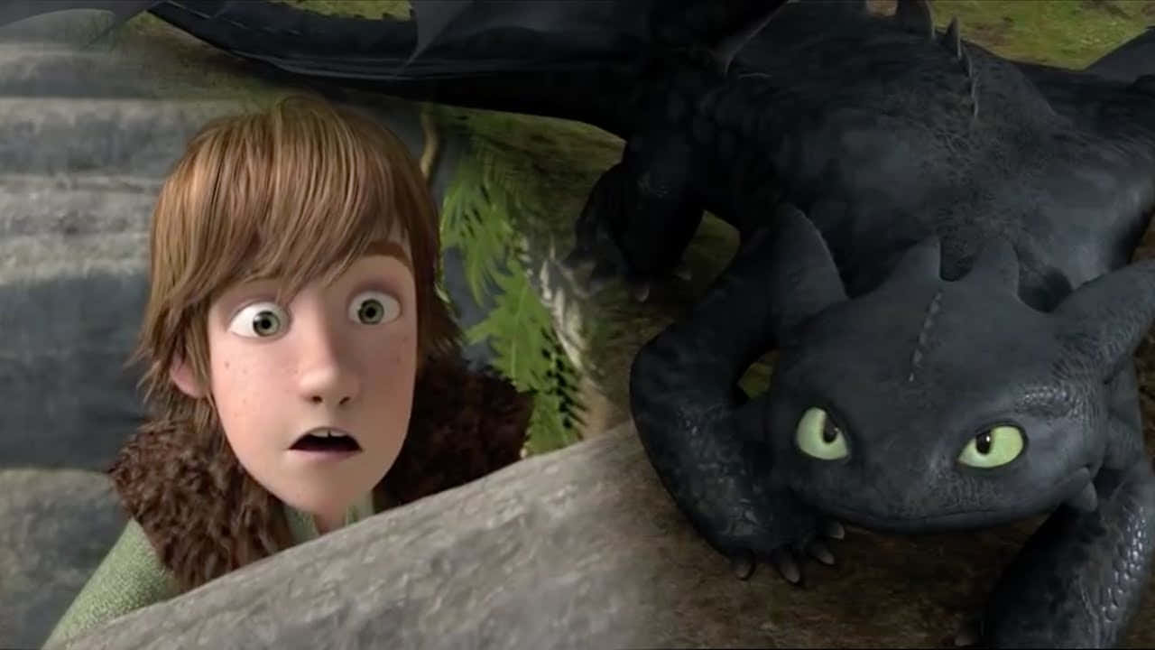 How To Train Your Dragon Hiccup Shocked Picture