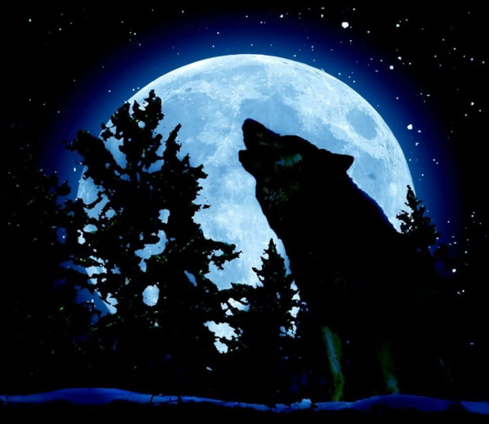 Majestic Howling Wolf in the Moonlight Wallpaper