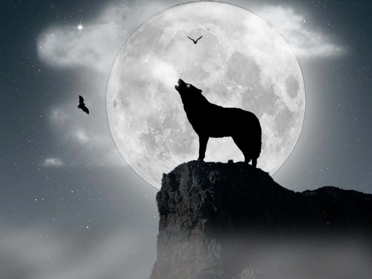 Majestic howling wolf under the nightly sky Wallpaper
