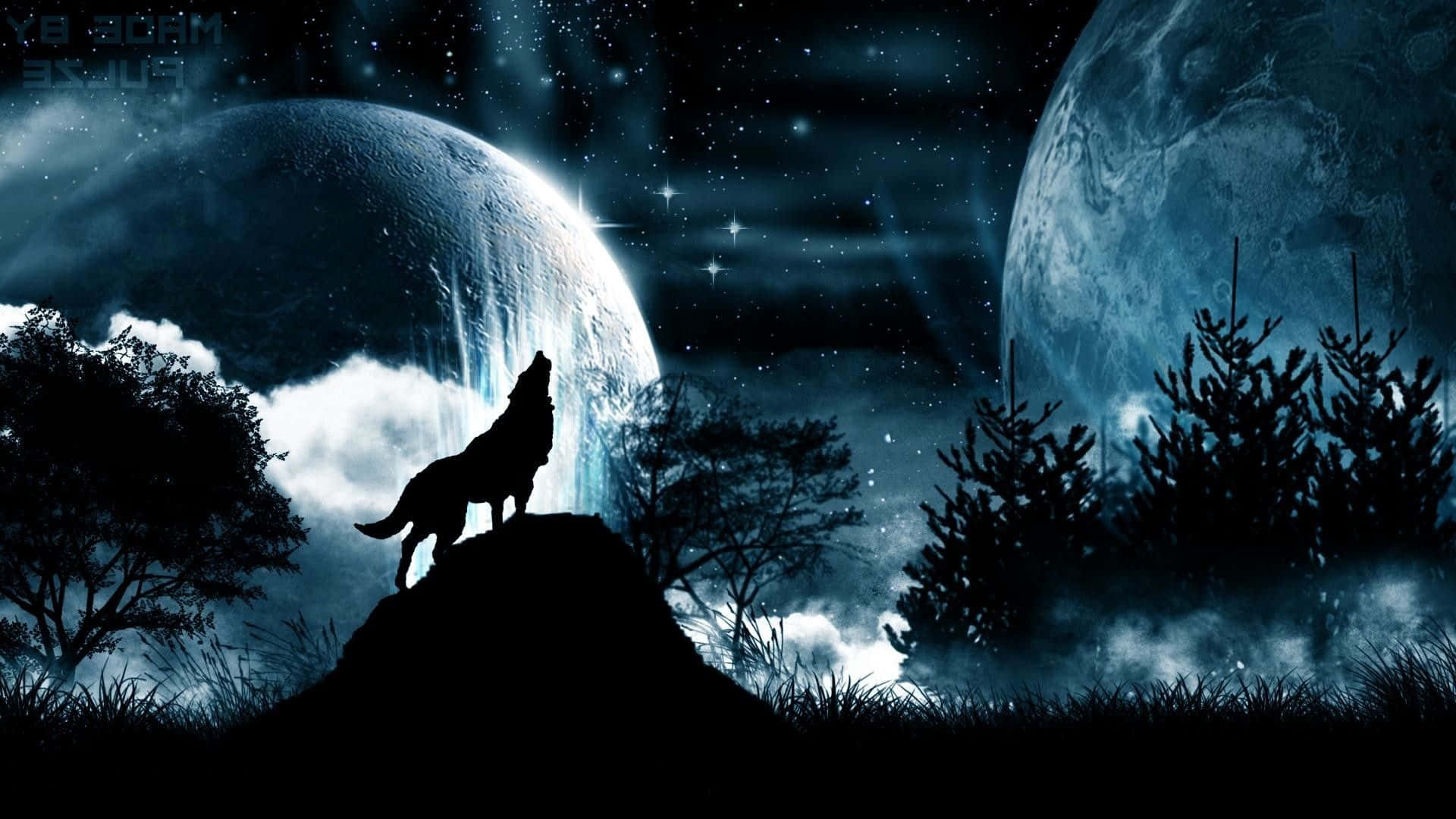 Majestic Howling Wolf under Full Moon Wallpaper