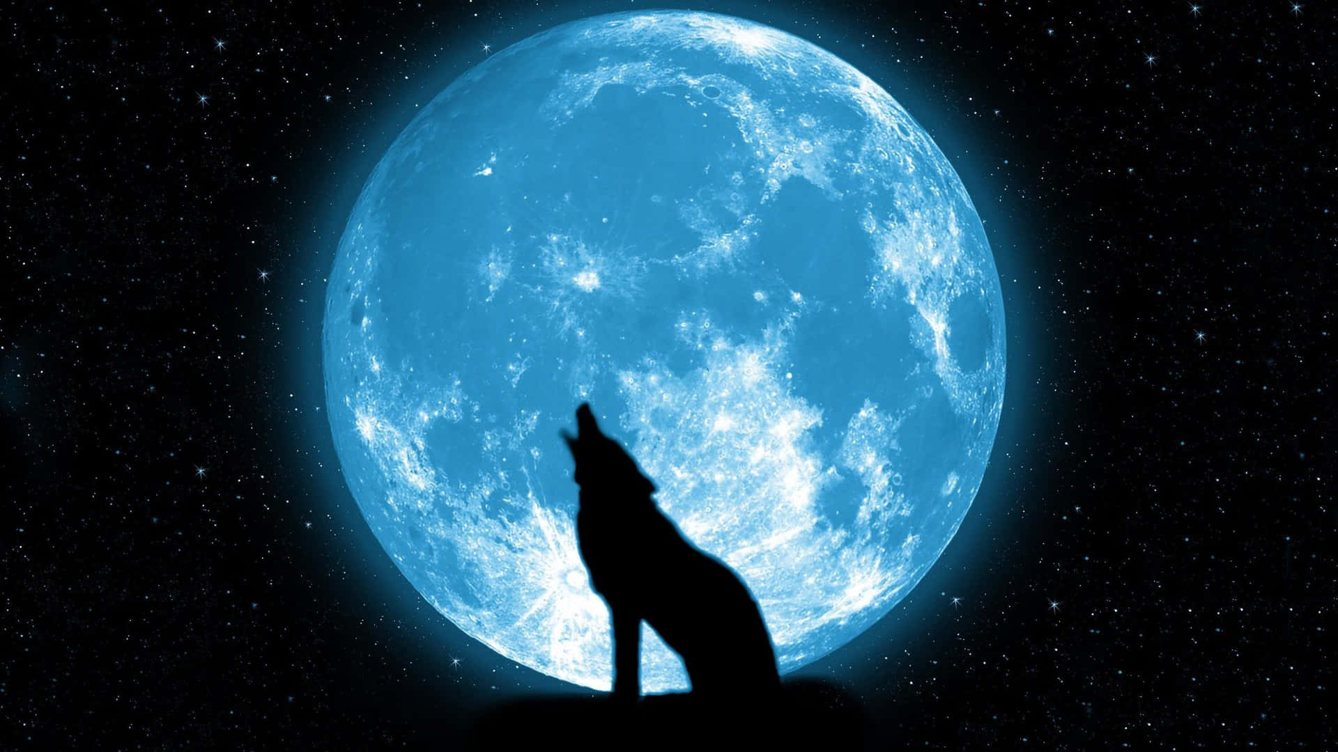 Majestic Howling Wolf Silhouette Wallpaper