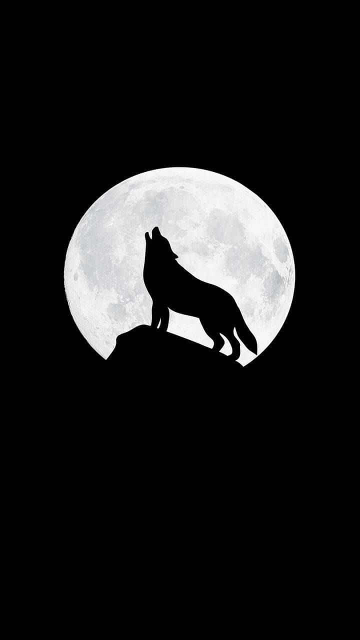 black wolf howling at the moon