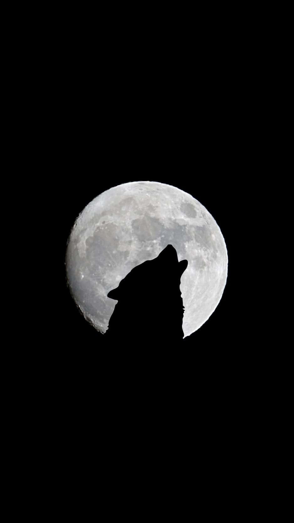Howling Wolf under the Moonlight Wallpaper