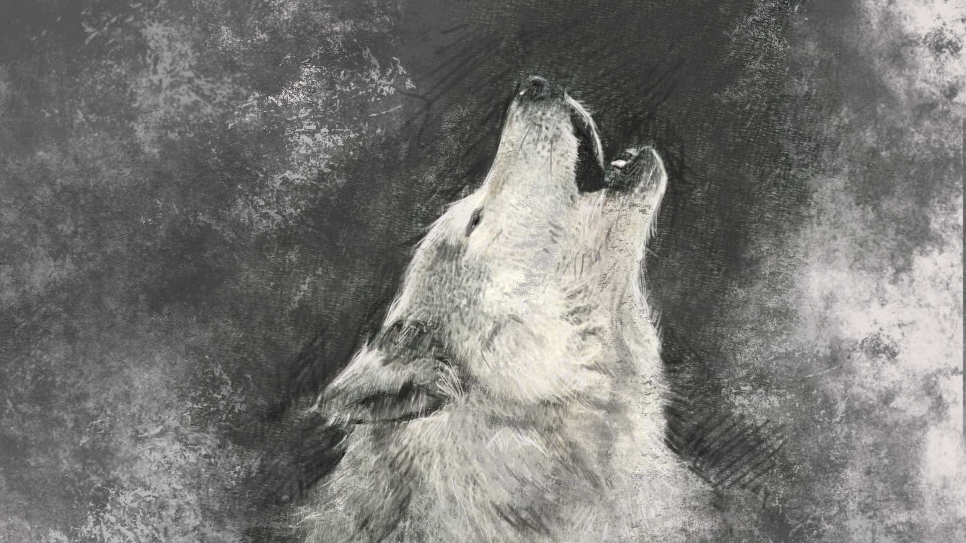 Howling Wolf Charcoal Illustration Wallpaper