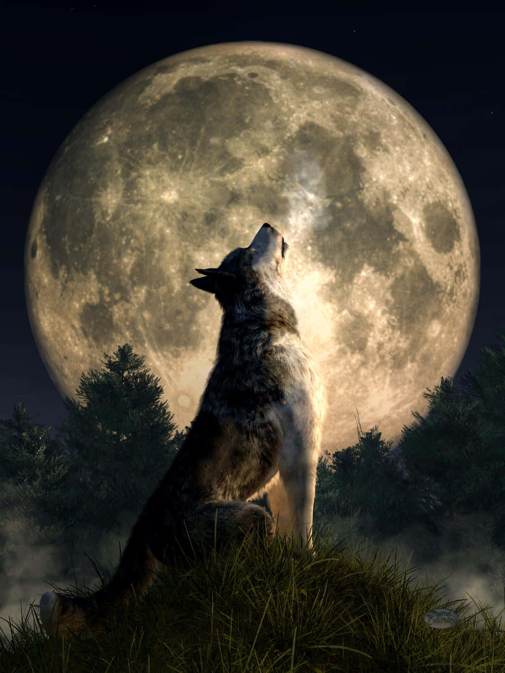 Howling Wolf Enjoying a Clear Autumn Evening