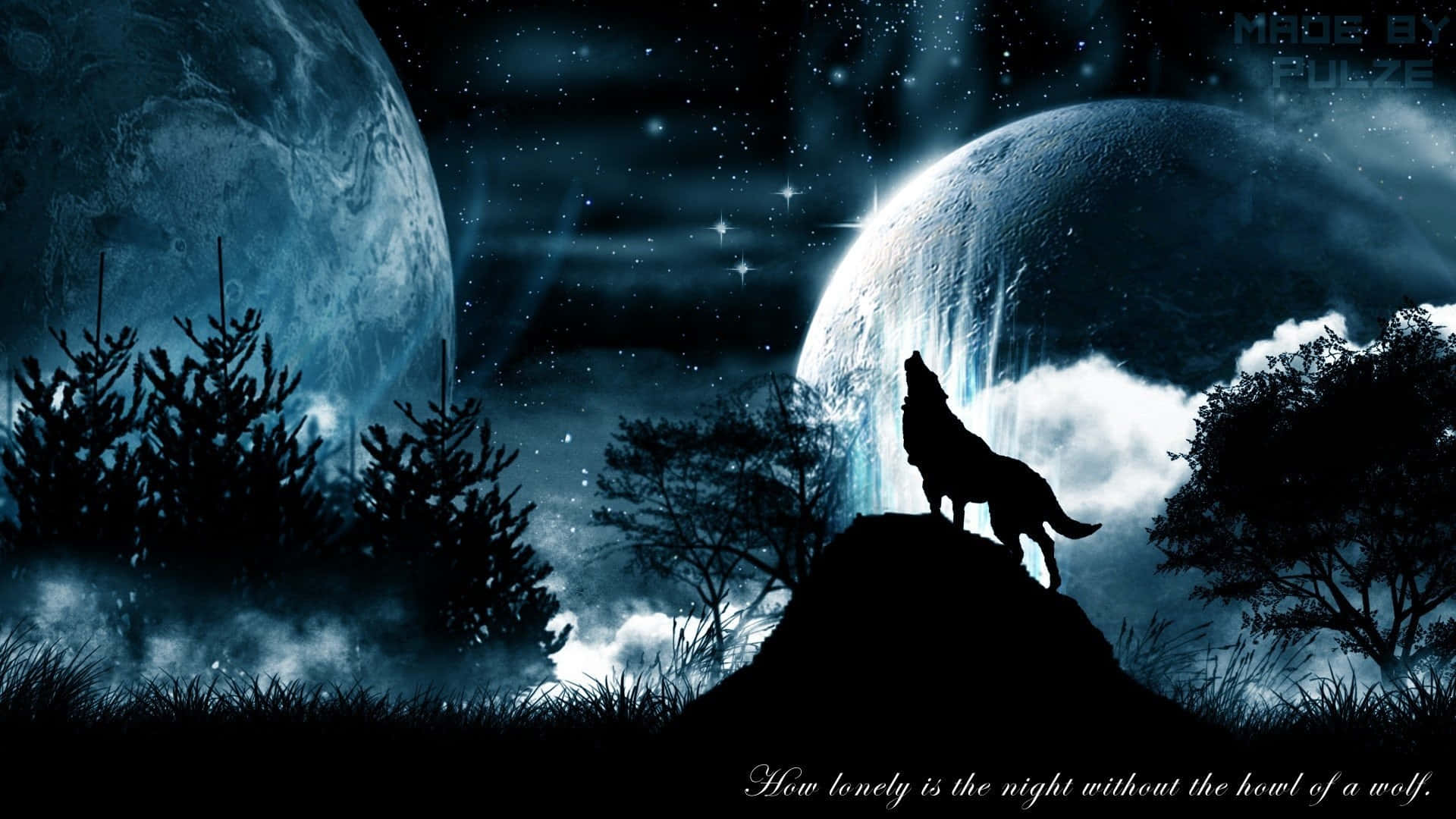 Heulenderwolf Unter Dem Atemberaubenden Nachthimmel