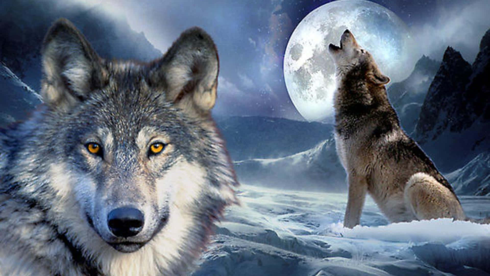 "Listen to the powerful howling of this majestic wolf"