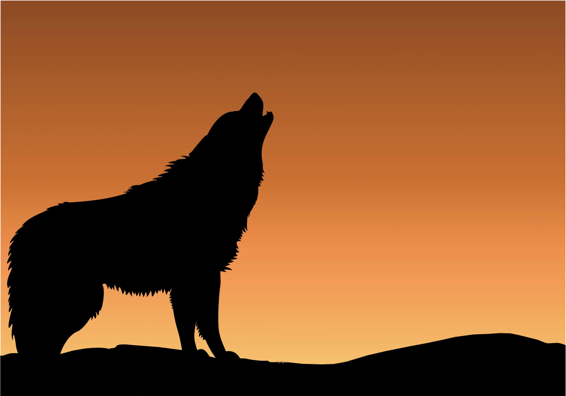 A lone howling wolf in an autumn forest.