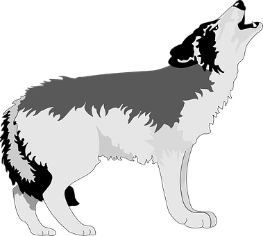 Howling Wolf Silhouette PNG