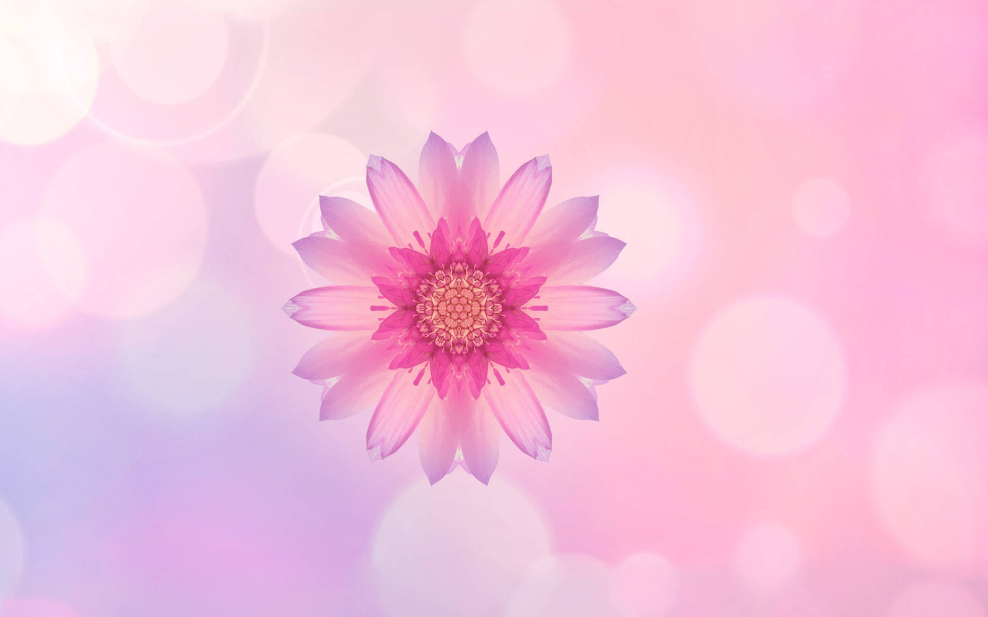 Huawei Pink Flower Wallpaper