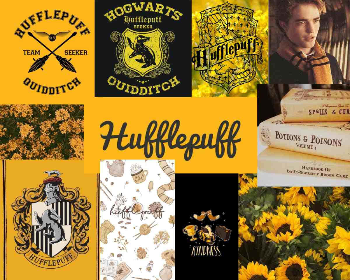 Represent your house with Hufflepuff pride!