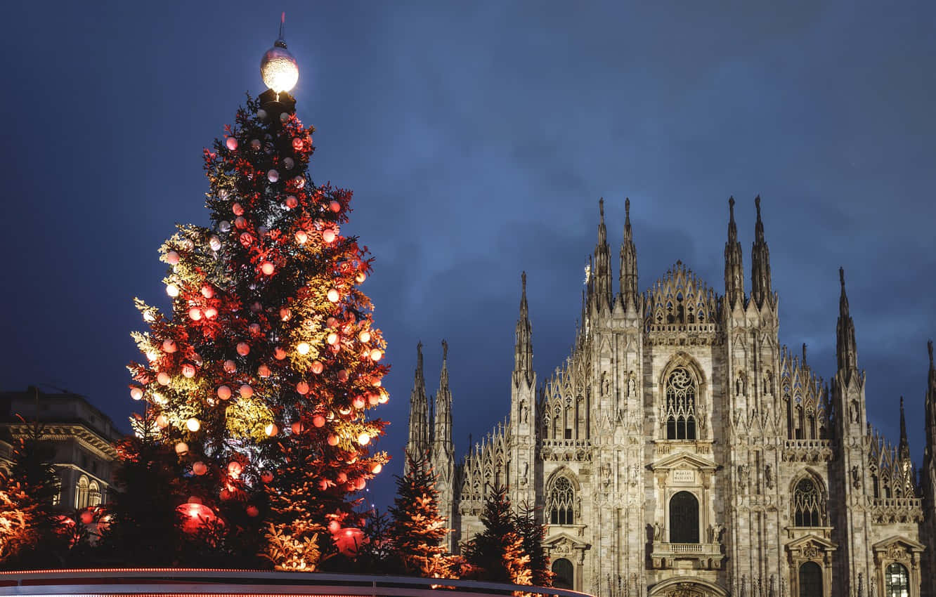 Enormeárbol De Navidad En La Catedral De Milán Fondo de pantalla
