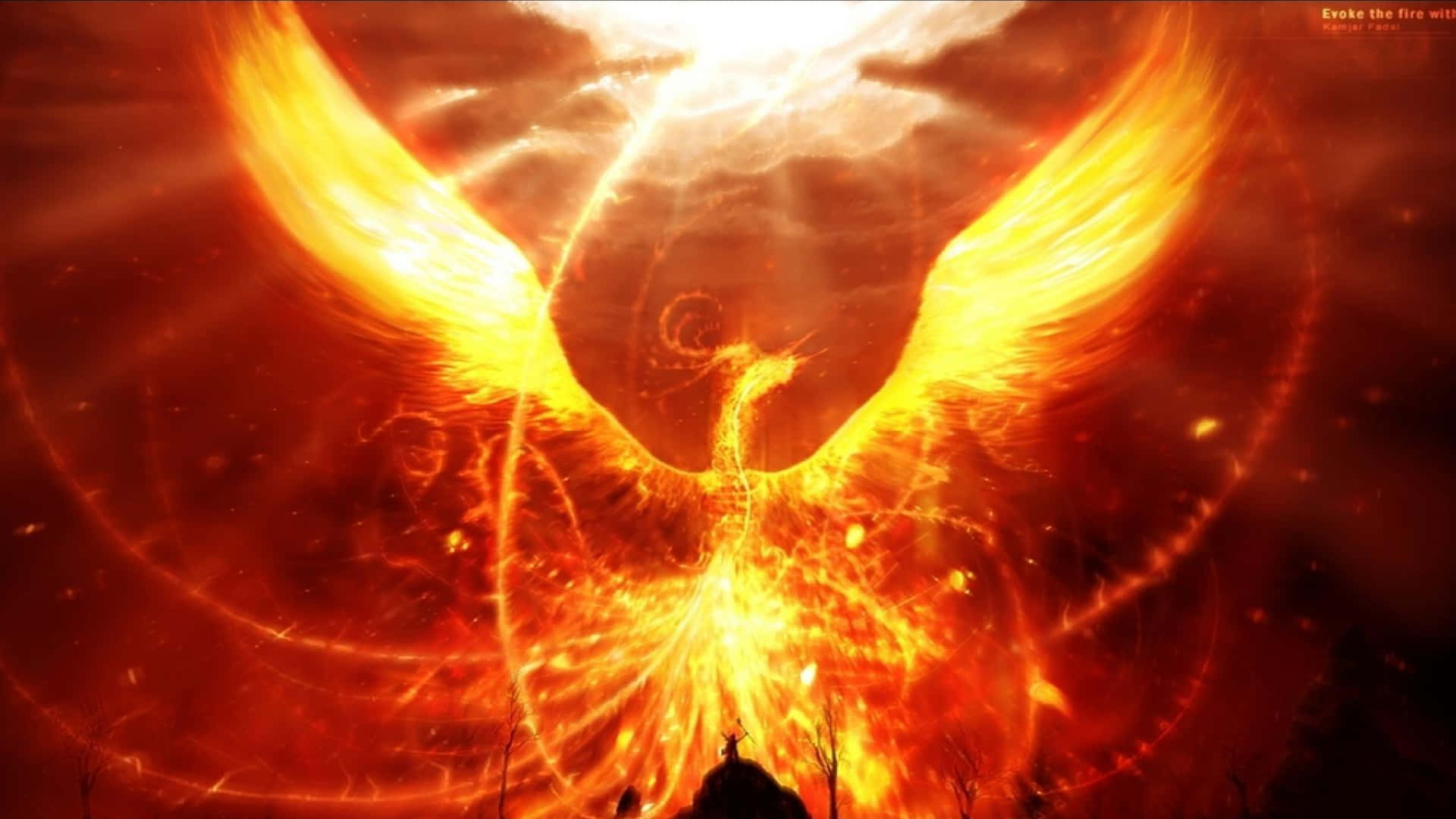 Huge Phoenix Resurrect Fire Pfp Wallpaper