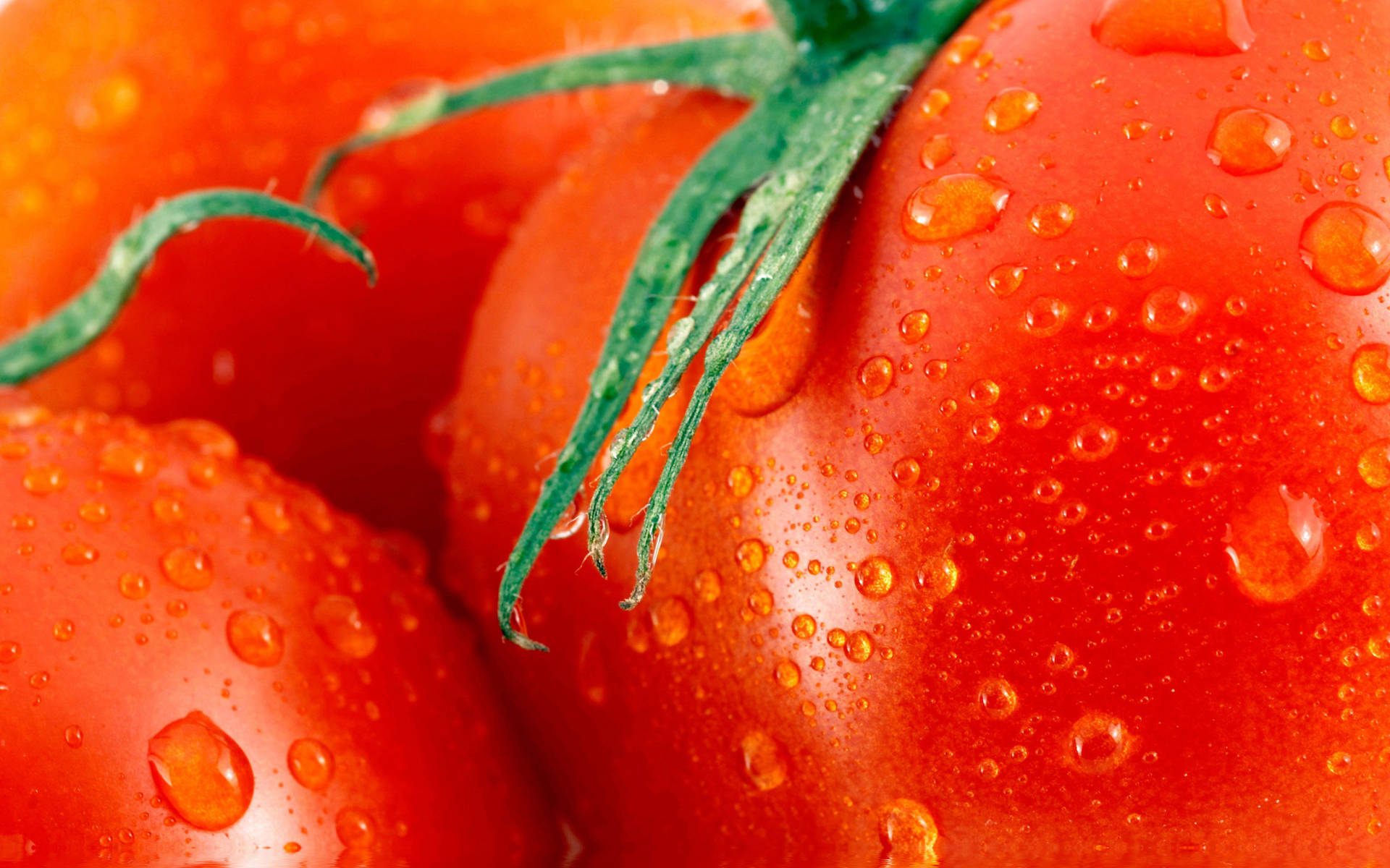Huge Tomato Fruits Close Up Shot Wallpaper