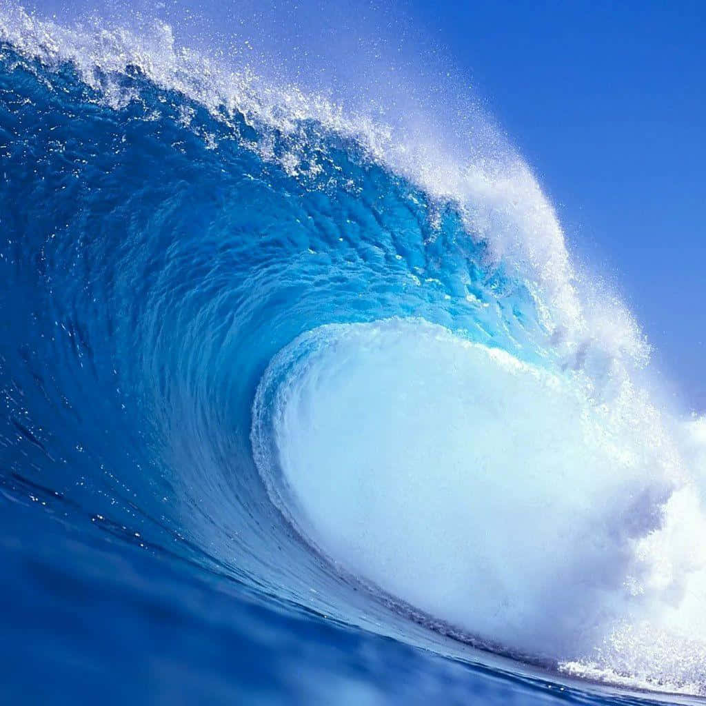 Huge Wave In Ocean Wallpaper