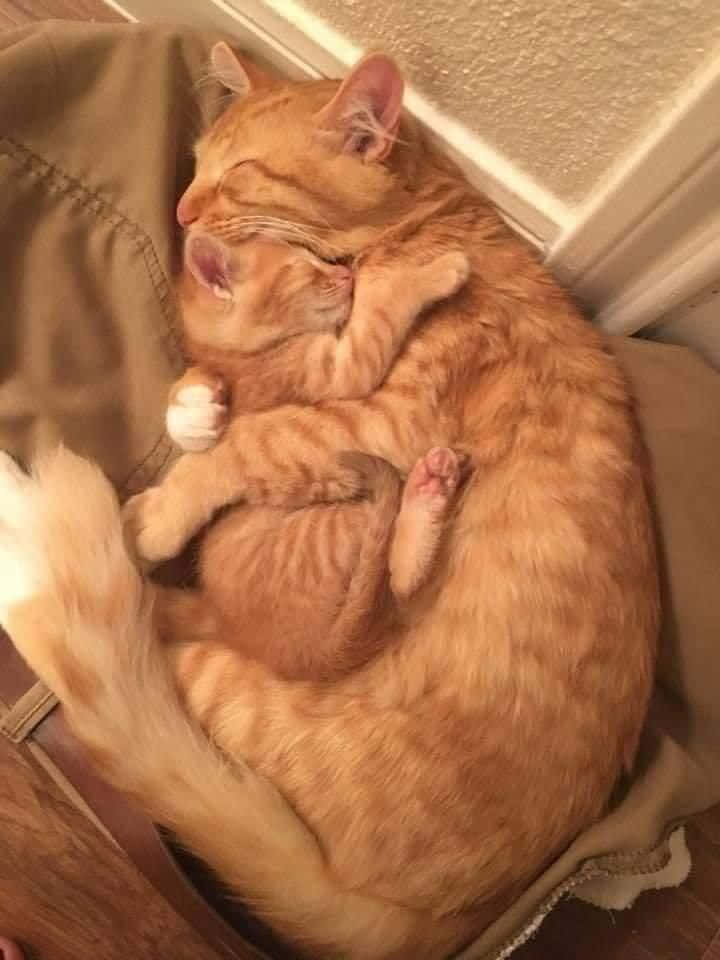 The sweetest hugs are the most heartfelt
